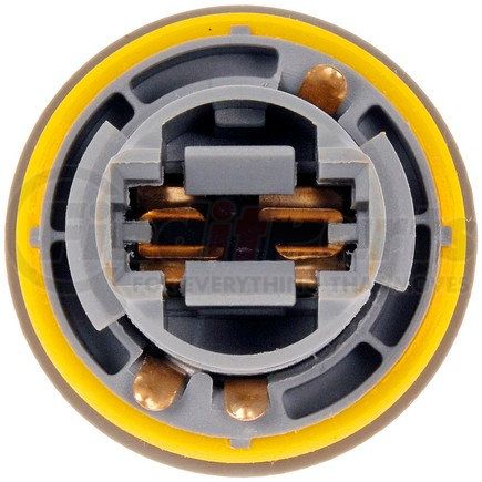 Dorman 923-034 Socket