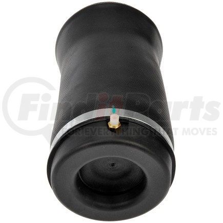 Dorman 949-750 Air Spring