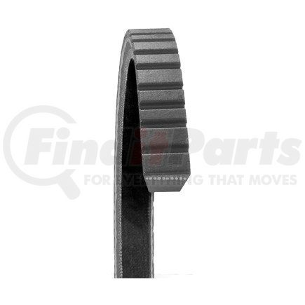 Dayco 17710 AUTO V-BELT