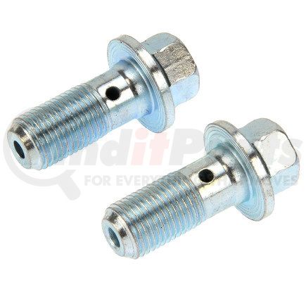 Centric 117.99023 Bag of 2 Banjo Bolts