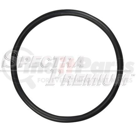 Spectra Premium LO119 Fuel Tank Lock Ring