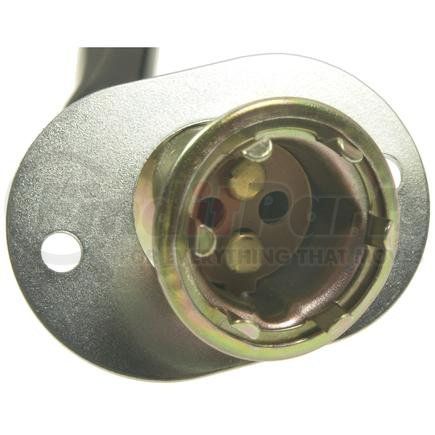 Standard Ignition S46N Pigtail/Socket