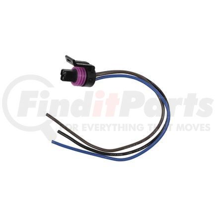 Standard Ignition S-619 Pigtail/Socket