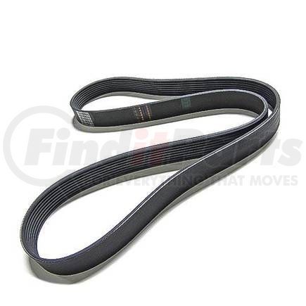 Cummins 3911568 V Ribbed Belt