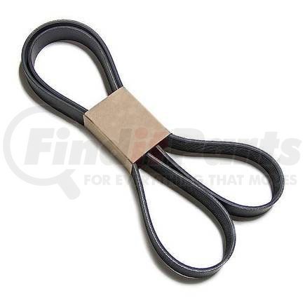 Cummins 3911582 V Ribbed Belt