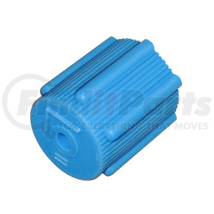 Omega Environmental Technologies MT0063 VALVE CAP - BLUE M8X1 LOW SIDE QUICK DI 5 PK