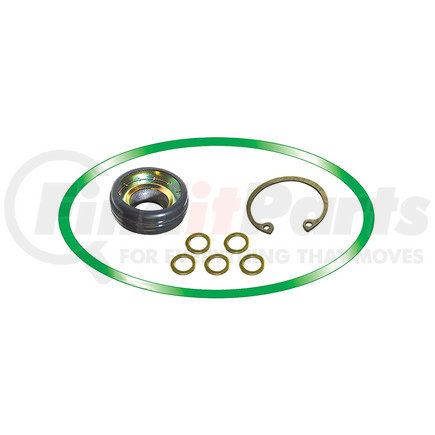 Omega Environmental Technologies MT2041 Shaft Seal Kit