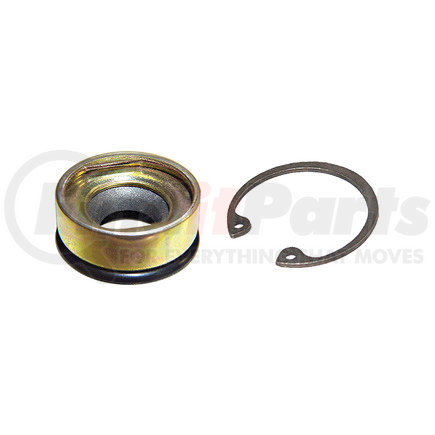 Omega Environmental Technologies MT2054 Shaft Seal Kit