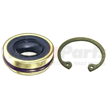 Omega Environmental Technologies MT2057 Shaft Seal Kit