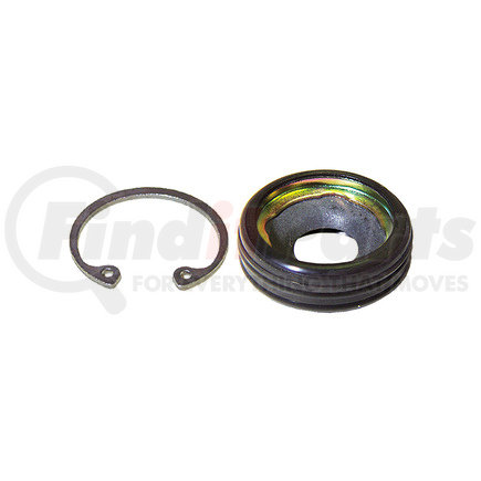 Omega Environmental Technologies MT2248 Shaft Seal Kit