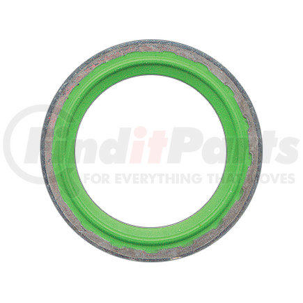 Omega Environmental Technologies MT1428 Sealing Washer Kit