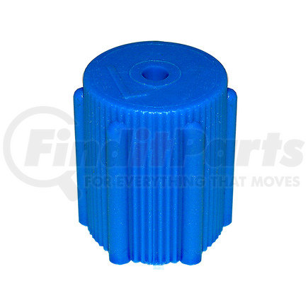 Omega Environmental Technologies MT0063-10 VALVE CAP - BLUE M8X1 LOW SIDE QUICK 10 PK