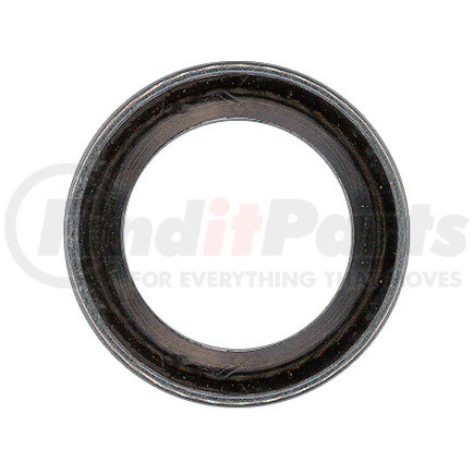 Omega Environmental Technologies MT0371-2 Sealing Washer Kit