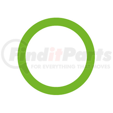 Omega Environmental Technologies MT0342 20 PK GREEN HNBR O-RING - #12 (3/4) DUAL"