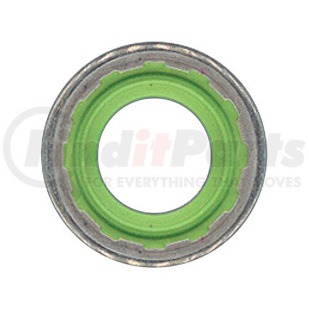 Omega Environmental Technologies MT1425-2 Sealing Washer Kit