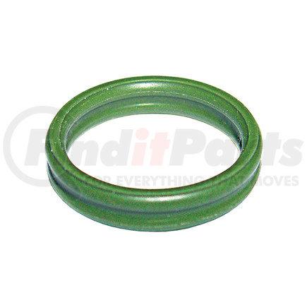 Omega Environmental Technologies MT1106 25 PK, For Fiat DOUBLE O-RING #10  For Fiat: 10552183