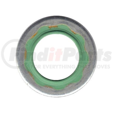 Omega Environmental Technologies MT1587-2 Sealing Washer Kit