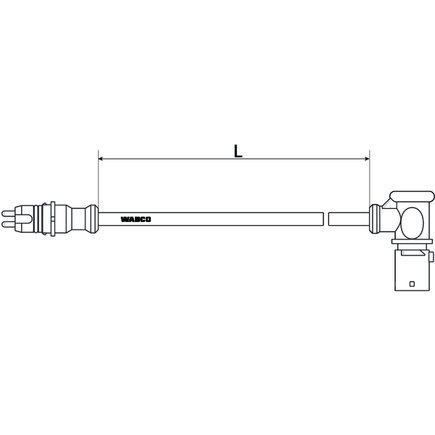 Body Wiring Harness and Components