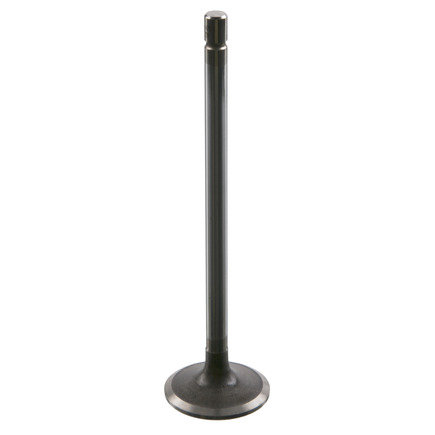 Engine Intake Valve