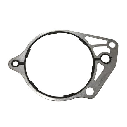 Fuel Pump Gasket