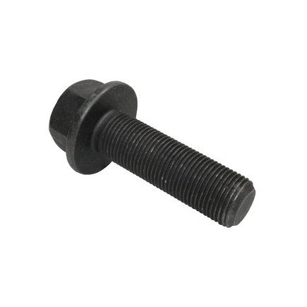 Frame Bolt