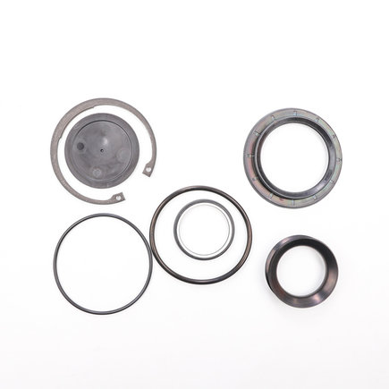 Steering Gear Sector Shaft Seal Kit