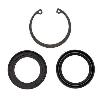 Steering Gear Pitman Shaft Seal Kit