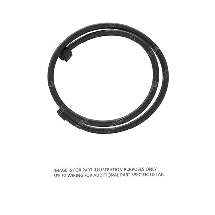 Body Wiring Harness and Components