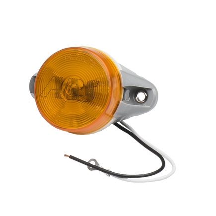 ABS Indicator Light