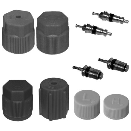 A/C System Valve Core and Cap Kit