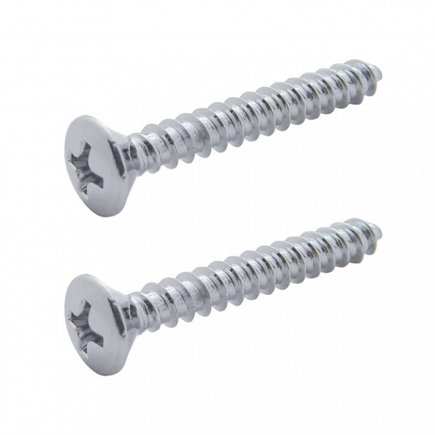 Dome Light Screw