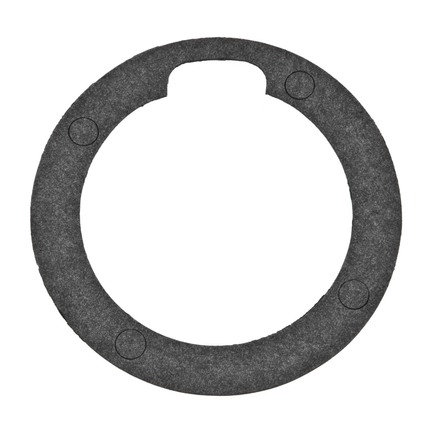 Manual Transmission Bearing Retainer Seal