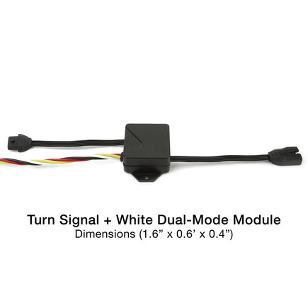 Turn Signal Module