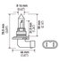 H71071402 by HELLA USA - BULB 9005 12V 65W XE