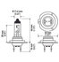 H71071362 by HELLA USA - BULB H7 12V 55W XEN