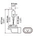 894 by HELLA USA - 894 Halogen Bulb