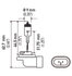 896 by HELLA USA - 896 Halogen Bulb