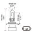 9005XS by HELLA USA - 9005XS Halogen Bulb