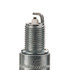 3031 by CHAMPION - Champion Platinum