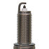 7426 by CHAMPION - Champion DBL Plat