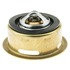 245-160 by MOTORAD - Thermostat
