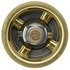 245-160 by MOTORAD - Thermostat