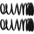 630.67018 by CENTRIC - Premium Coil Spring Set