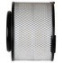 PA99256 by PREMIUM GUARD