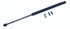 613321 by TUFF SUPPORT - Hood Lift Support for LEXUS