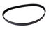 4050380 by CONTINENTAL - Multi-V Belt