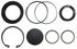 S-11557 by NEWSTAR - SECTOR SHAFT SEAL KIT (M90/M100)