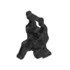 A16-21197-005 by FREIGHTLINER - ASSY-COMBO BRKT, NGC, RH, HD