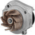 DP1746 by DAYCO - WATER PUMP